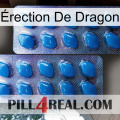 Érection De Dragon viagra2